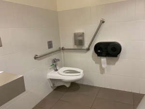Accessible toilet in a huge space