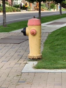 My fire hydrant