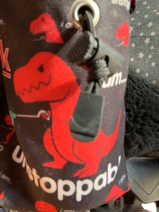 Fabric pouch with red T Rex dinosaur picture and the caption I am unstoppable 